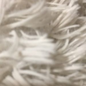 Meet your Posher, Sammy